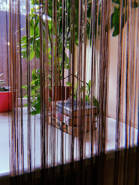 Peneira Janela Acolhedora Com Livros Cortinas Cordas Pequenas Têxteis Plantas — Fotografia de Stock