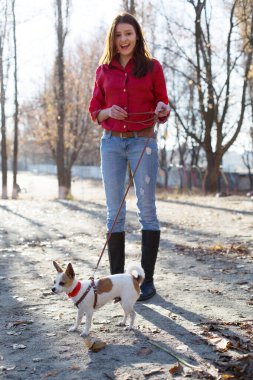 Güzel genç kız oyuncak teriyer köpeği tutuyor tasmalı ve kırmızı fiyonklu, evcil hayvan