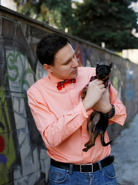 Homem Brinquedo Terrier Cão Vestindo Arcos Vermelhos Andar Livre Juntos — Fotografia de Stock