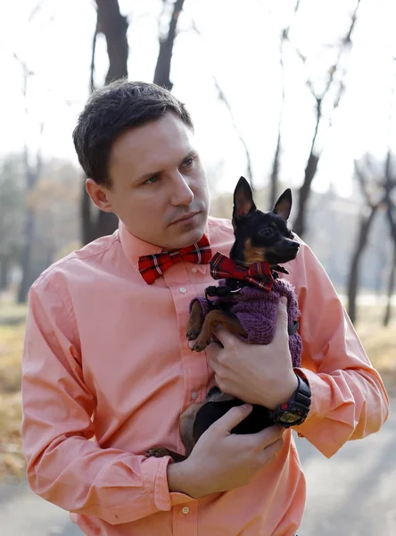 Retrato Serio Hombre Joven Negro Pequeño Perro Juguete Terrier Miembro —  Fotos de Stock