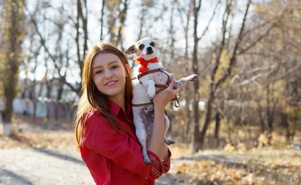 Lächelndes Teenager Mädchen Bekam Geschenk Kleiner Hund Und Spielzeug Terrier — Stockfoto