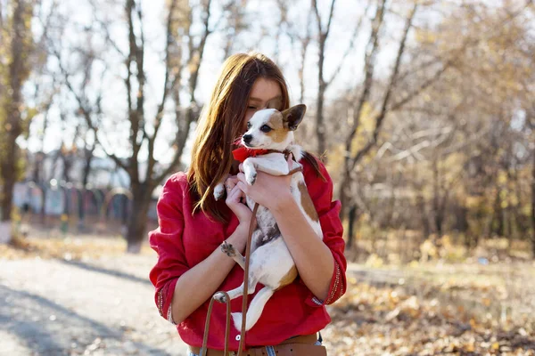 Chica Con Pelo Rojo Camisa Abrazando Abrazando Adorable Perro Mascota — Foto de Stock