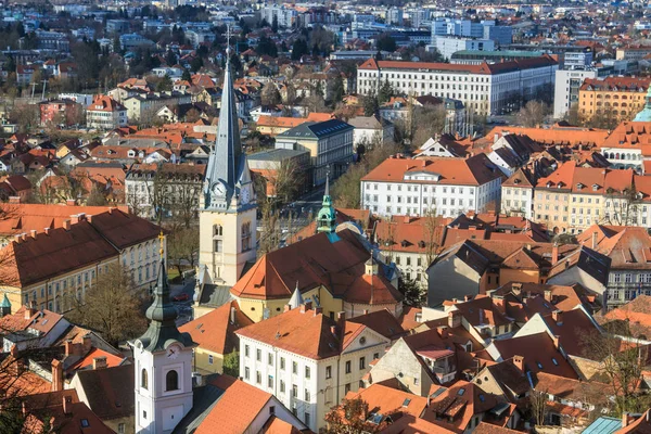 Vista del casco antiguo de la Liubliana —  Fotos de Stock