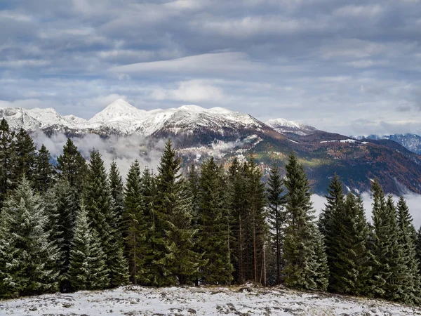 Schneebedeckter Gipfel Des Ojstrica Gebirges Über Dem Fichtenwald Auf Dem — Stockfoto