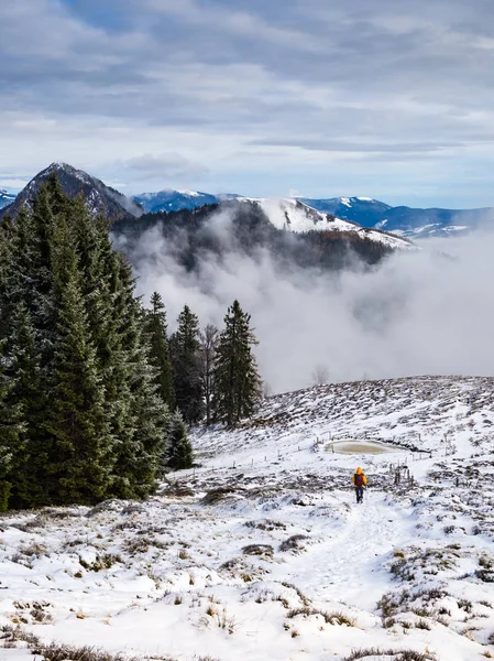 カムニーク Savinja アルプスの山の牧草地の上を歩いての登山家 — ストック写真