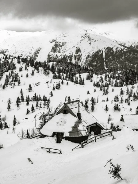 Traditionelle Hütten Auf Velika Planina Winter Slowenien — Stockfoto