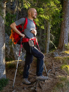 Dağcı dinleniyor ve ormandan Slovenya 'nın Peca dağına giden yolu manzarasının keyfini çıkarıyor.