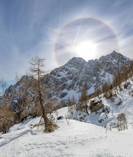 早朝にZgornja Krmaから見たVeliki Draski Vrh山の上にハロー ハローは 大気中に浮遊する氷の結晶と相互作用する光現象です — ストック写真