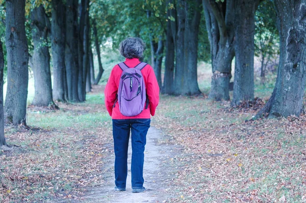 Forrest Ormanı 'nda yaşlı bir kadın kaybolmuş terk edilmiş bir gelecek