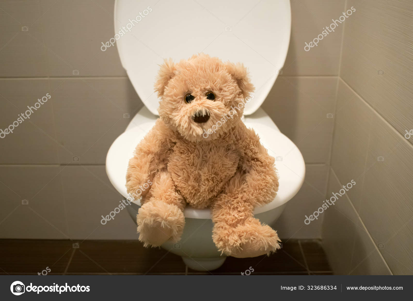 Bear sit on toilet closeup kids potty training Stock Photo by ©metodej