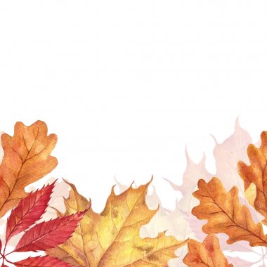 Arka plan ile kırmızı, turuncu, kahverengi ve sarı düşen sonbahar yaprakları.