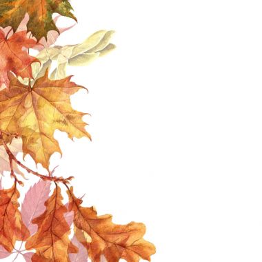 Arka plan ile kırmızı, turuncu, kahverengi ve sarı düşen sonbahar yaprakları.