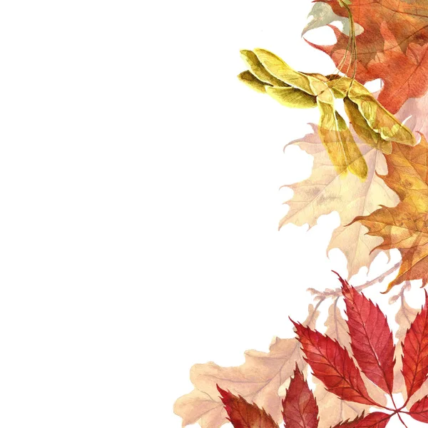 Arka plan ile kırmızı, turuncu, kahverengi ve sarı düşen sonbahar yaprakları.