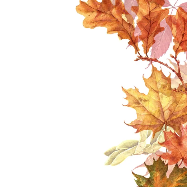 Arka plan ile kırmızı, turuncu, kahverengi ve sarı düşen sonbahar yaprakları.