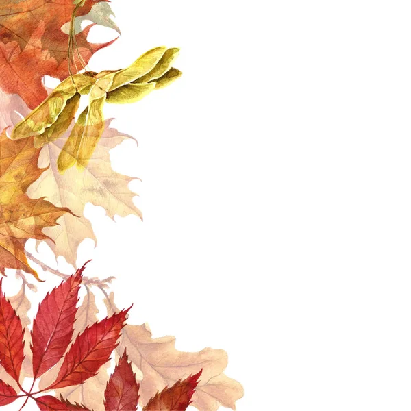 Arka plan ile kırmızı, turuncu, kahverengi ve sarı düşen sonbahar yaprakları.