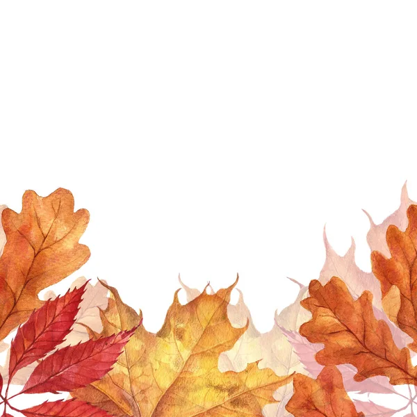 背景用红色、 橙色、 棕色和黄色秋天树叶飘零. — 图库照片#