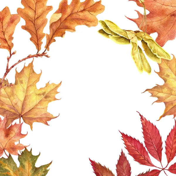 背景用红色、 橙色、 棕色和黄色秋天树叶飘零. — 图库照片#