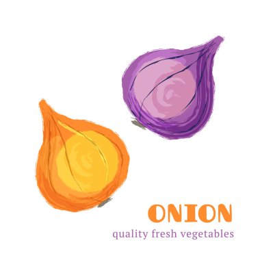 Beyaz arkaplanda taze soğan izole edildi.