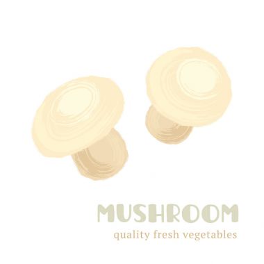 Beyaz arka planda izole edilmiş taze mantar.