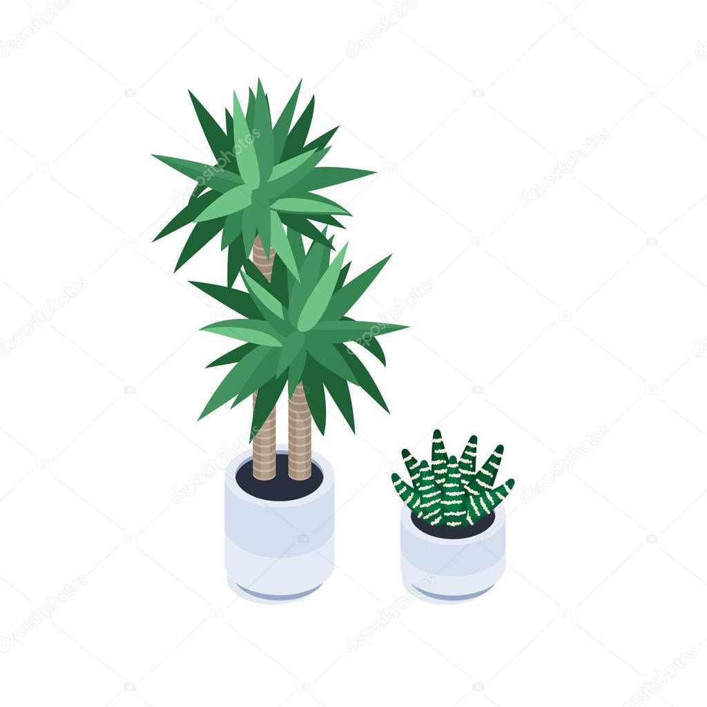 Isometric plants in pots.