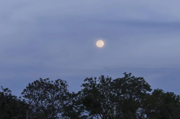 Nuit bleue avec lune — Photo