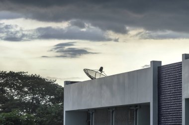 Çanak üst bina - ağ teknolojisi