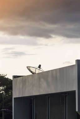 Uydu çanağı bir arka plan bulutlu gökyüzü - ağ teknolojisi üzerinde iletişim için