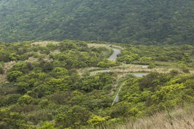 Taipei, Tayvan - seyahat ve Turizm Yangmingshan Milli Parkı ile çalışan yol