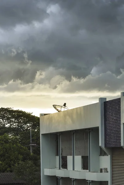 Satellite dish on building - Network technology