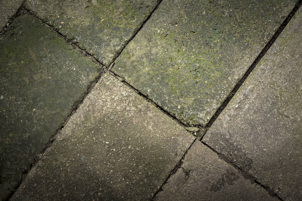 Brick floor and texture of moss covered - abstract background