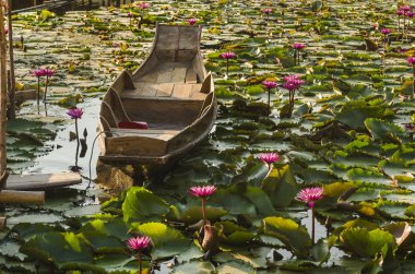 Kırmızı lotus Gölü ile ahşap tekne - Tayland gün batımında