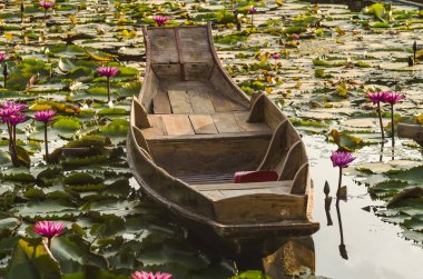 eski ahşap tekne ve Tayland kırmızı lotus çiçeği