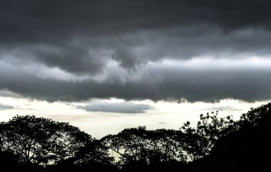 Gökyüzü ve fırtına bulutları ağaçlarda peyzaj
