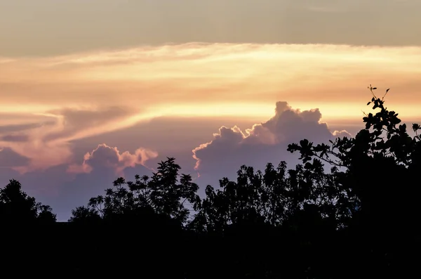 Барвистий Захід Сонця Силуетом Дерева — стокове фото
