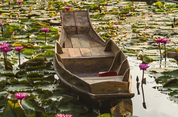 eski ahşap tekne ve Tayland kırmızı lotus çiçeği