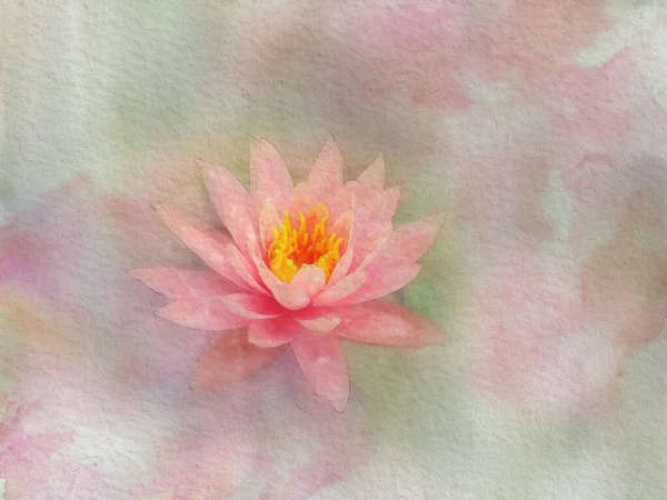 watercolor painting of pink water lily, lotus : Illustration