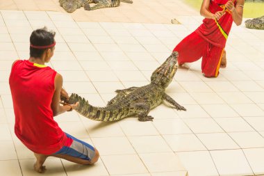 Tayland, Hayvanat Bahçesi timsahlar Timsah çiftliği ve hayvanat bahçesi adlı gösterisi