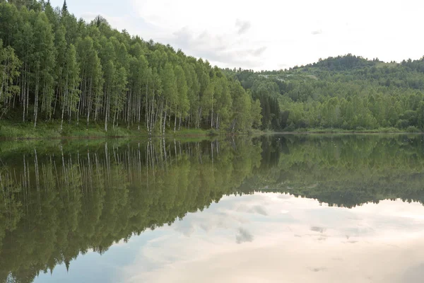 平静天气中的森林湖 — 图库照片