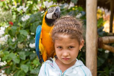 onun omuz sarı papağan ile kız çocuk