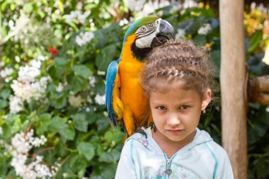 onun omuz sarı papağan ile kız çocuk