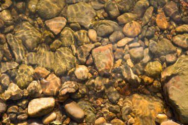 Suyun altındaki taşlar, arka plandaki ıslak nehir taşları.