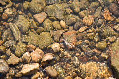 Suyun altındaki taşlar, arka plandaki ıslak nehir taşları.