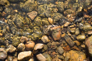 Suyun altındaki taşlar, arka plandaki ıslak nehir taşları.