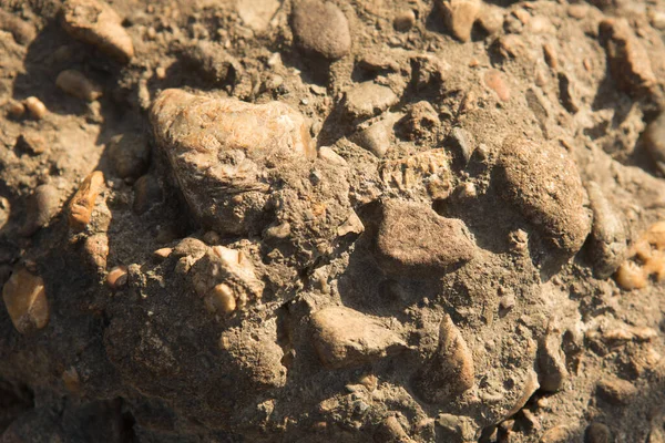 Elvont háttér száraz kerek reeble kövek — Stock Fotó