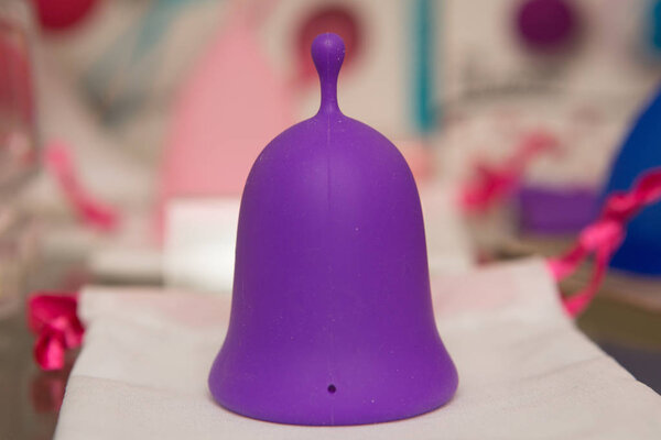 sex toys on display in the store