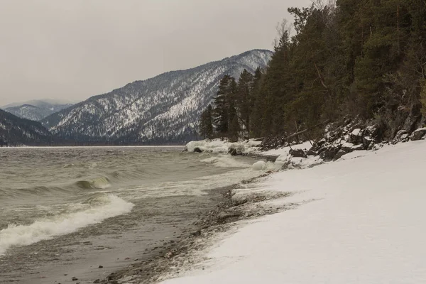 Shoreline Lago Teletskoye Con Onde Tuonanti Inverno Russia — Foto Stock