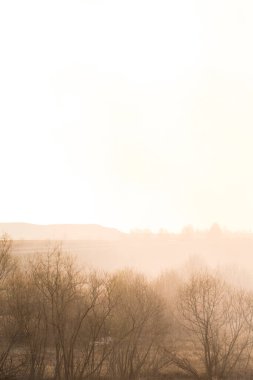 Orman yangını, orman yangını gündüz vakti kapanıyor..