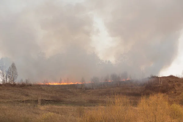 Lesní Požár Hoří Wildfire Zavírá Dne — Stock fotografie