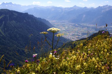 Dağlarda vadinin görünümü