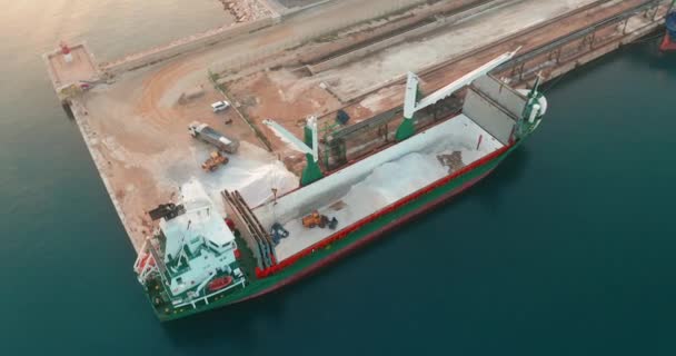 Aerial view. Bulk carrier unloading cargo in harbor. — 비디오